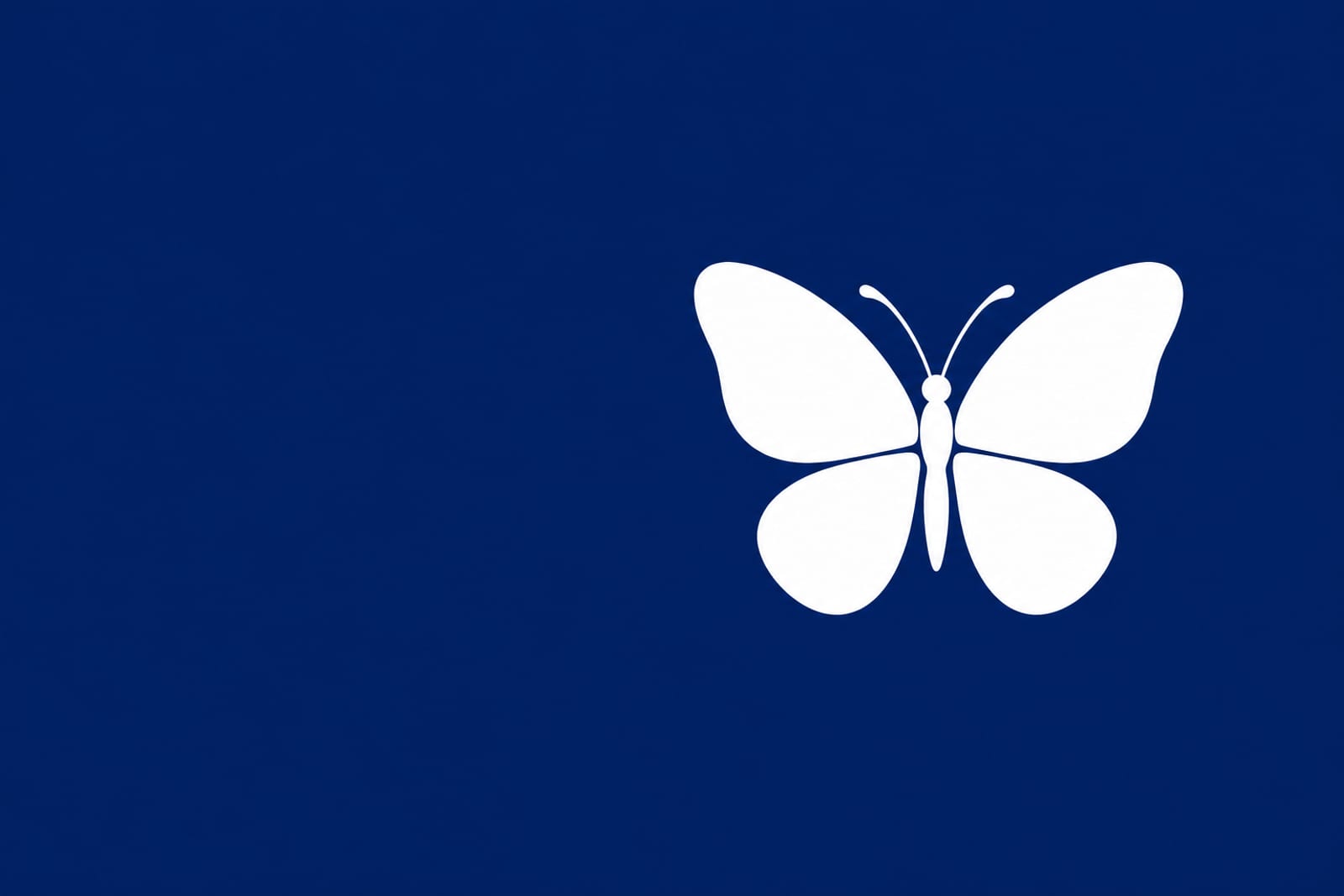 Top-down view of a white butterfly resting flat on navy-blue water, wings fully spread.
